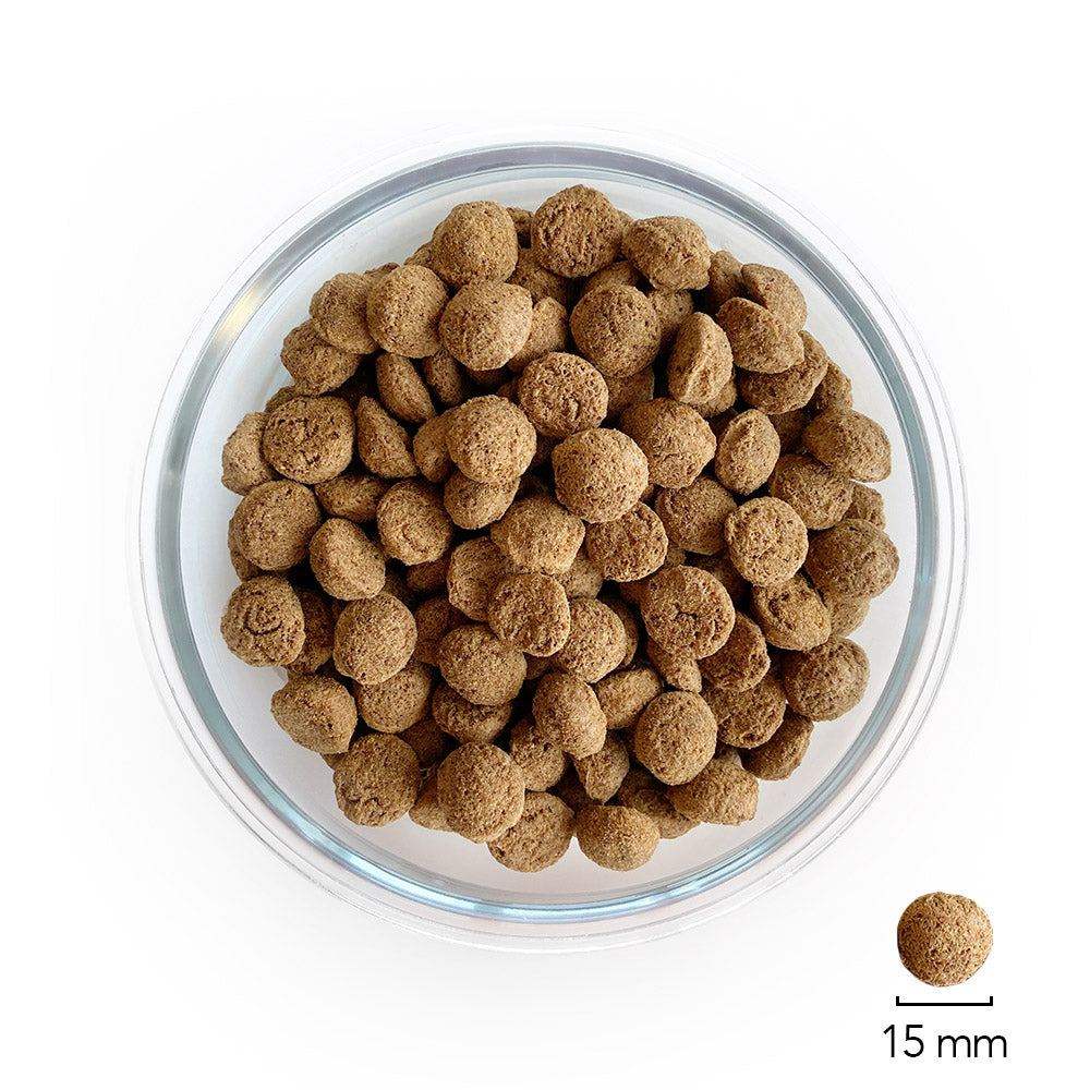 Ofrieda Insekten Trockenfutter Größe 15 mm in einer Schale