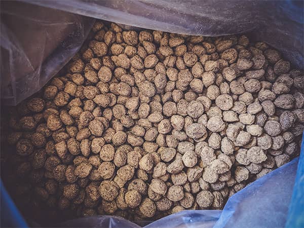 Trockenfutter aus Insekten Kroketten im Futtersack.