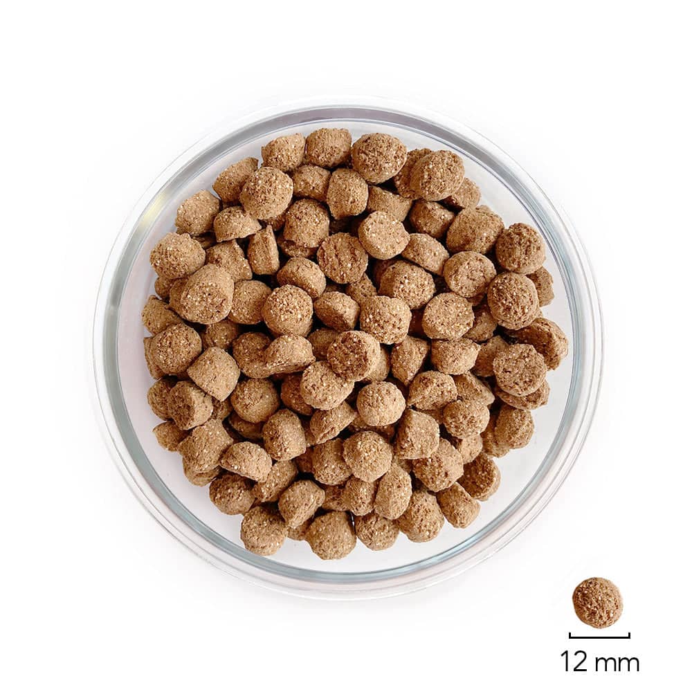 Ofrieda Insekten Trockenfutter Größe 12 mm in einer Schale