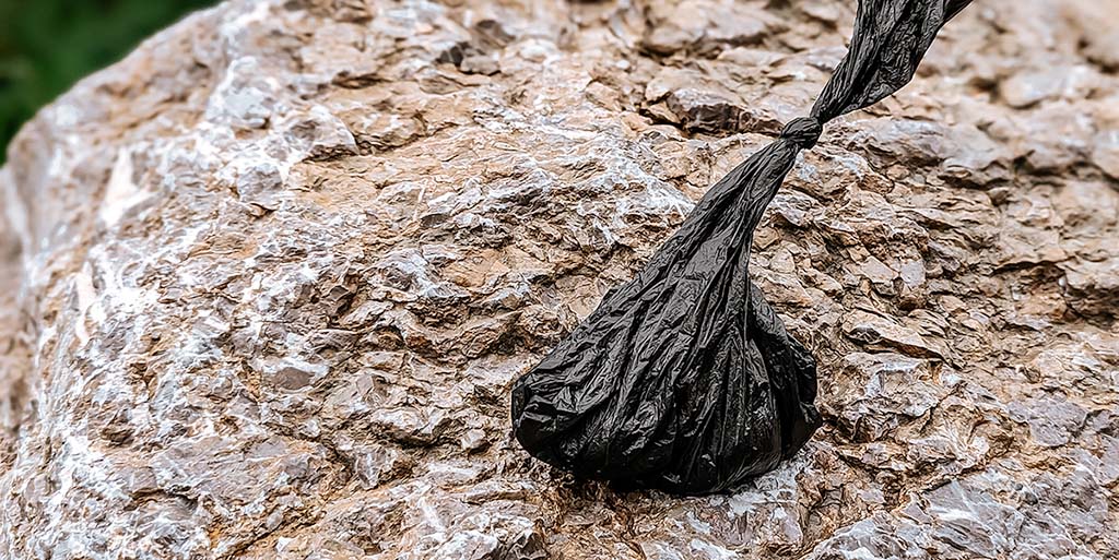 Zugeknöpfter Kotbeutel auf einem kleinen Felsen abgelegt.