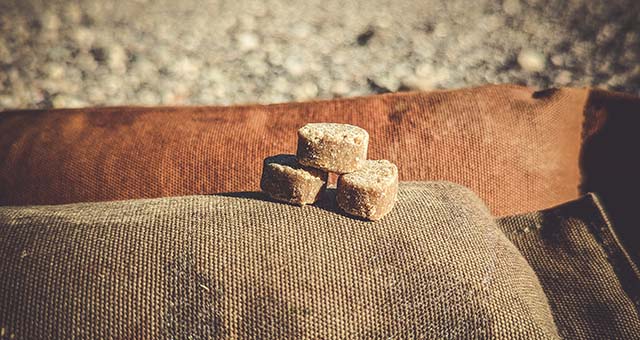 Drei Insekten Leckerli liegen gestapelt auf einem Retriever Dummy.
