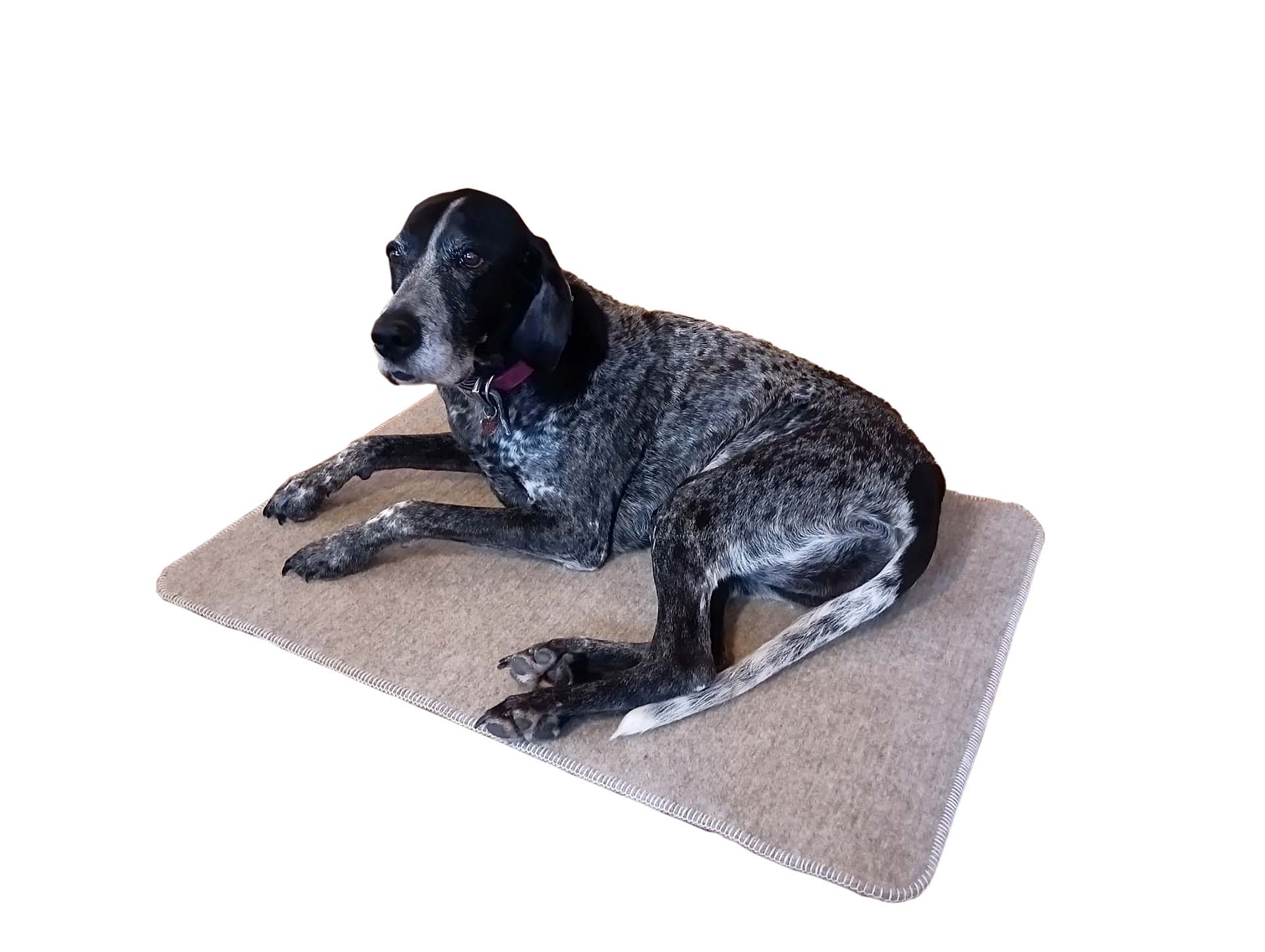 Hundedecke aus Alpakawolle